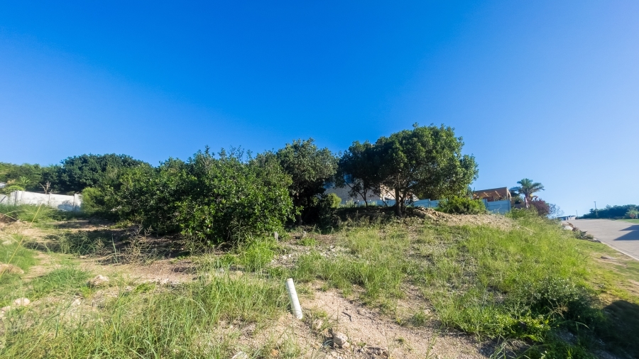 0 Bedroom Property for Sale in Bergsig Western Cape